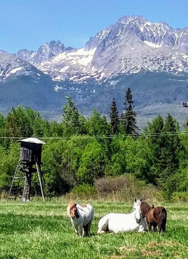 Penzion Monty Ranch Vysoke Tatry Stola Hotel Екстериор снимка